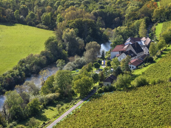 View of the state winery Kloster Pforta on the Saale with vineyard, Naumburg, Saxony-Anhalt, Germany