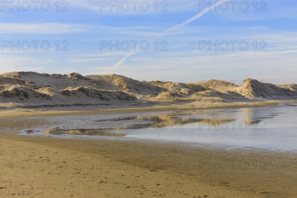 Groundwater forms small ponds in the dune landscape in Norderney, Lower Saxony, Germany