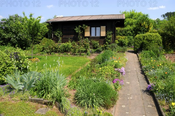 Allotment garden, Germany