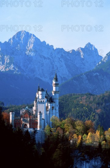 Castle Neuschwanstein, Neuschwanstein Castle, Bavaria, Germany, Europe, vertical portfolio_schloss