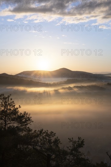 Mystical sunrise at the Wachtfelsen. Fascinating landscape shot between fog and clouds near Wernersberg, Pfälzerwald, Germany