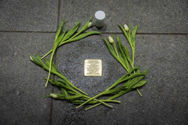 Stolpersteine in the city centre of Dresden commemorate the fates of Dresdeners during the 3rd Reich. Here is the stone of Robert Jäger, murdered in Auschwitz, Dresden, Saxony, Germany