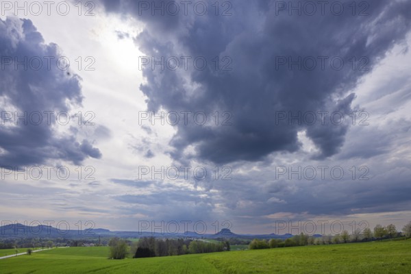 The Kirschallee from Altendorf to Rathmannsdorf with the Königstein Fortress and the Lilienstein on the horizon, Altendorf, Saxony, Germany