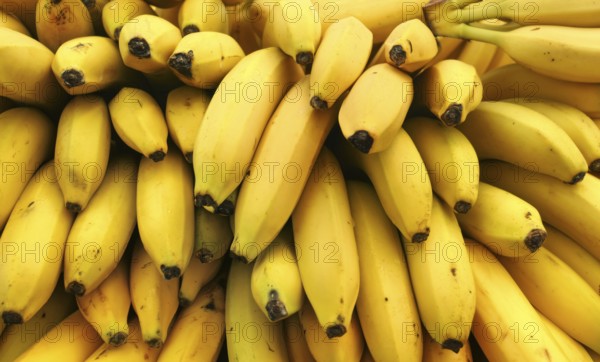 Bananas displayed on food market, Kyrenia, Cyprus
