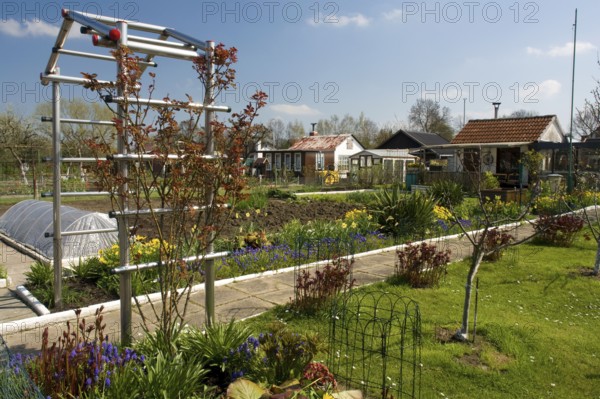 Allotment garden, Kamen, North Rhine-Westphalia, Germany, Allotment garden site, Allotment garden