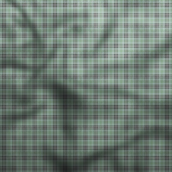 Green checkered fabric background creating soft and elegant texture, ideal for fashion, design, and textile projects.Belarus
