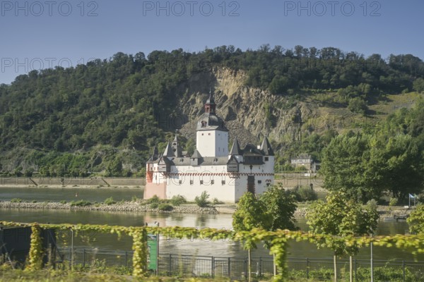 Rhine, Pfalzgrafenstein Castle, Rhineland-Palatinate, Germany