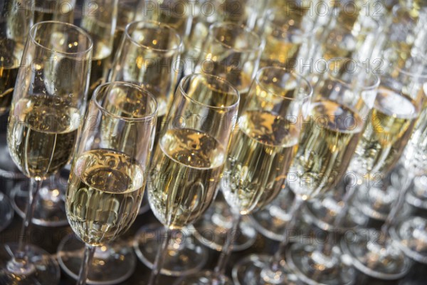 A lot of glasses with champagne stand in a row. glasses with champagne closeup