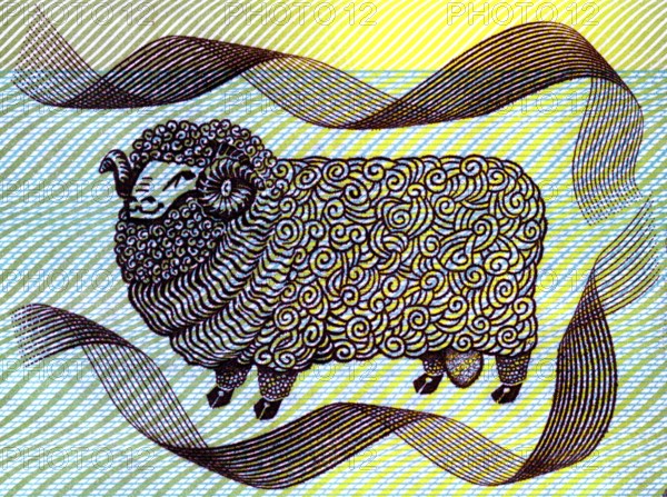 A merino ram on the old Australian $2 bank note featuring John MacArthur