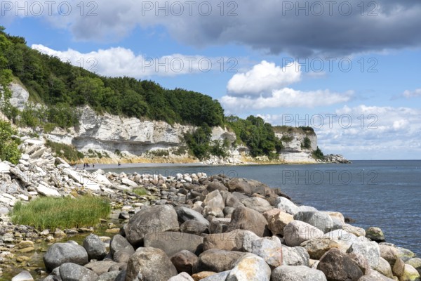 Hojerup, Denmark, July 21, 2020: View of the coastline at Stevns Klint cliff