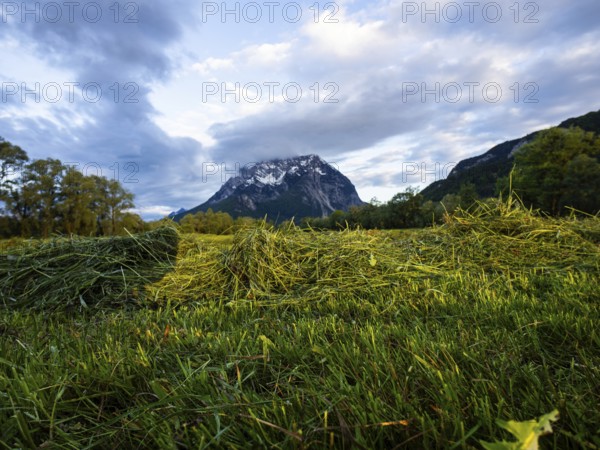 Freshly mown grass, behind the Grimming, near Irdning, Ennstal, Styria, Austria