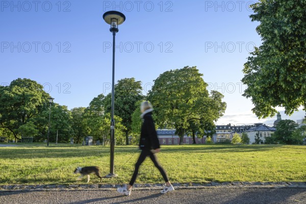 Green space Observatorielunden, Stockholm, Sweden