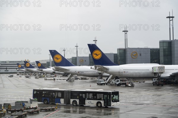 04.08.2023, Frankfurt, Hesse, Germany, Europe, Lufthansa passenger aircraft parked at the gate of Terminal 1 at Frankfurt Airport. Lufthansa is a member of the Star Alliance airline alliance, an international network of airlines