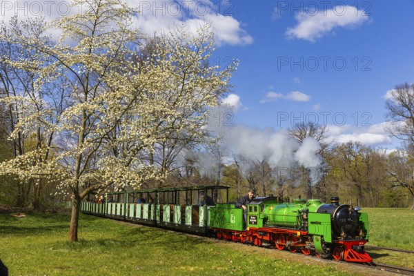 The popular small railway in Dresden's Great Garden has been in operation for 75 years. The steam locomotives Moritz and Lisa are even 100 years old. In the anniversary year, there is a children's festival and a steam locomotive festival. The renovated stations bring the history of the park railway to life and show the valuable work done with children and young people, Dresden, Saxony, Germany