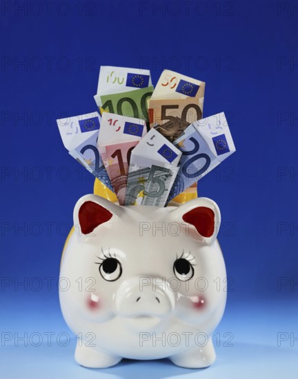 Symbol photo money, luck, saving, piggy bank with euro banknotes studio photo, Lower Saxony, Federal Republic of Germany