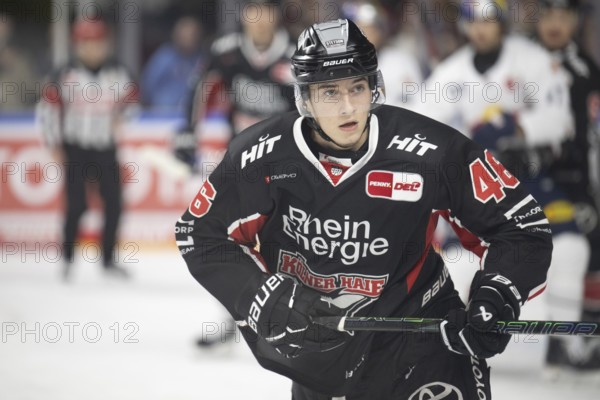 LanxessArena, Cologne, North Rhine-Westphalia, Kevin Niedenz (Cologne Sharks, #46), PENNY DEL, Cologne Sharks-EHC Red Bull Munich on 28/01/2025 at the LanxessArena in Cologne Germany