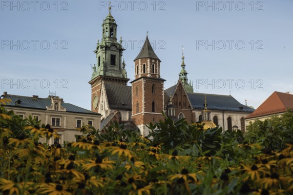 Summer view of Wawel Royal Castle in Krakow, Poland. Historically and culturally important site in Poland. Flowers on foreground. Beautiful sightseeing with Wawel Royal Castle and colorful flowers in Krakow, Poland