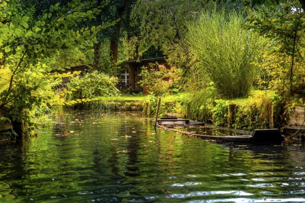 Spreewald barge, lowered, flooded, ditch, river Spree, Germany, Brandenburg, Spreewald, Lehde, Brandenburg, Spreewald, Germany