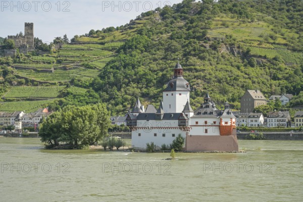 Burg Pfalzgrafenstein in the Rhine, Kaub on the Rhine, above Burg Gutenfels, Rhine-Lahn district, Rhineland-Palatinate, Germany