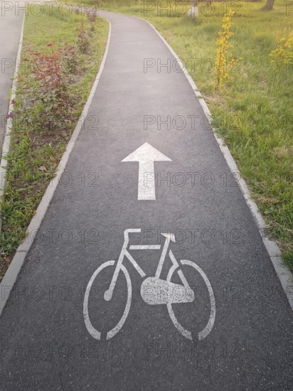 Marked bicycle lane in the park. Track for cyclists