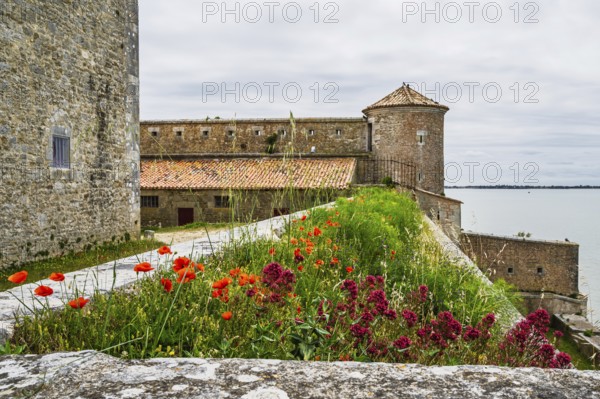 Castle Fouras, Fouras-les-Bains, Charente-Maritime, Nouvelle-Aquitaine, France