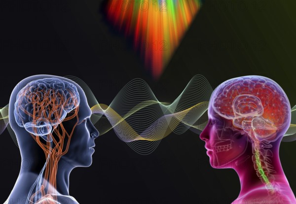 Symbol photo, ChatGBT, AI, OpenAI, chatbot, artificial intelligence, artificial intelligence, IT system, computer science, IT technology, computer system, software, Microsoft, Apple, Google, silicon brain, humanoid robot, thinking machine, creativity, new wonder of the world, Einstein replacement, problem intelligence, AI research, voice robot, algorithm, AI danger, secure future, data streams