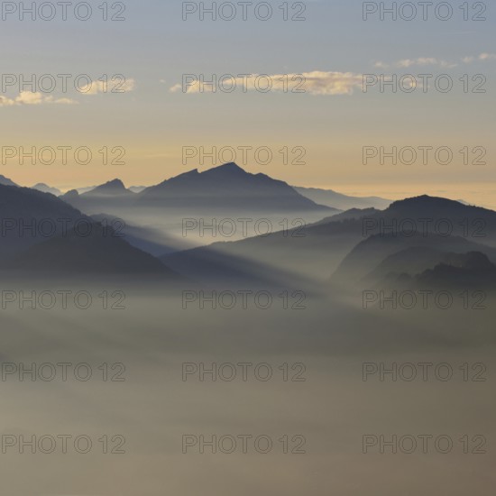 Grazing light in the mountains... Alpine panorama, Alpine peaks and mountain ranges in the Bavarian Alps in late light with low sun, romantic view from Oberstdorf towards Kleinwalsertal, local nature, Bavaria, Allgäu, Allgäu Alps, Bavarian Alps, Germany, Western Europe