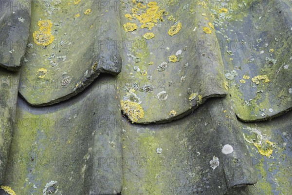 Old, weathered roof tiles with lichen, texture, background, Münsterland, North Rhine-Westphalia, Germany