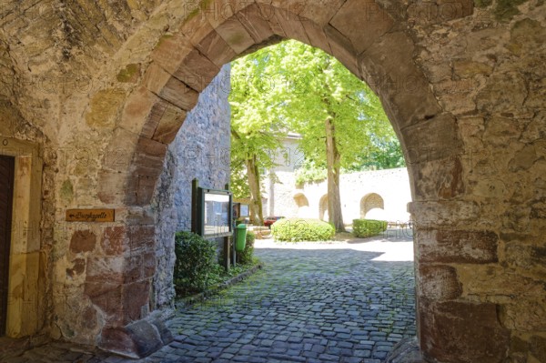Dringenberg Castle is a medieval hilltop castle in Dringenberg in the district of Höxter. It was one of the most important regional castles of the Paderborn bishopric. Dringenberg, North Rhine-Westphalia, Germany