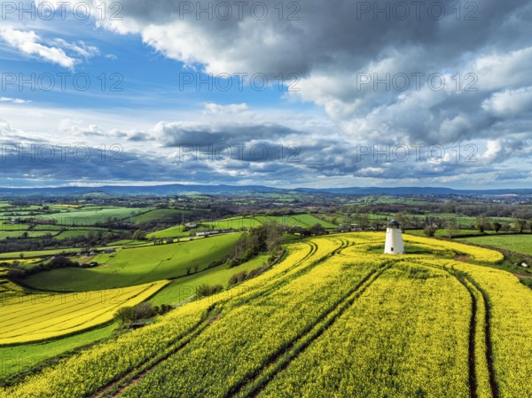 Rapeseed Fields and Farms over Torquay from a drone, Devon, England, United Kingdom