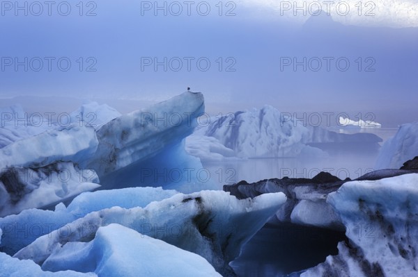 Icebergs in the morning light, Jökulsárlón glacier lagoon, Jökulsarlon, glacial lake, Vatnajökull behind, Hornafjörður, Hornafjördur, south-east Iceland, Iceland