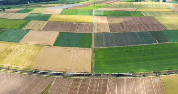Agricultural area in the Neckarbogen near Lauffen am Neckar. Regional railway on the way. Lauffen am Neckar, Baden-Württemberg, Germany