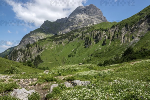 Bärgunttal, behind Großer Widderstein, near Baad, Kleinwalsertal, Allgäu Alps, Vorarlberg, Austria