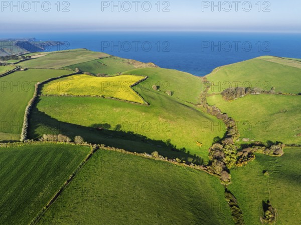 Farms and Fields over Brixham and Kingswear from a drone, Devon, England, United Kingdom