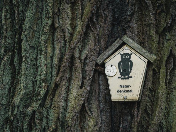 Natural monument, nature conservation owl, Mecklenburg-Western Pomerania, Germany