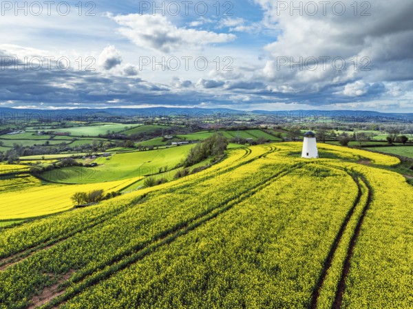 Rapeseed fields and Farms over Devon Windmill from a drone, Torquay, Devon, England, United Kingdom