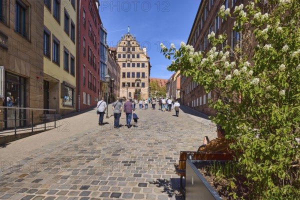 City museum in the Fembo House, historic merchant's house, city museum, flower pot, blossoming tree, Amelanchier alnifolia, cobblestone street, pedestrians as secondary motif, blue sky, cloudless, Burgstraße, Nuremberg, Middle Franconia, district-free city, Bavaria, Germany