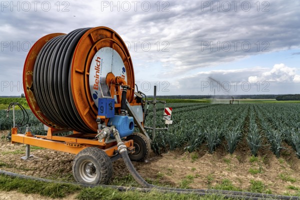 Agriculture, artificial irrigation of a field, sprinkler system, leek, leek, east of Nettetal, on the Lower Rhine, North Rhine-Westphalia, Germany