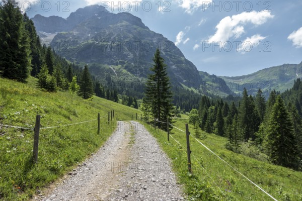 Hiking trail in Bärgunttal, behind Großer Widderstein, near Baad, Kleinwalsertal, Vorarlberg, Austria