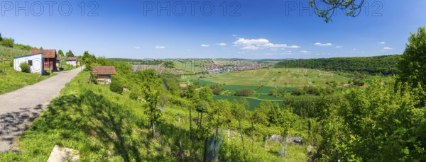 Panorama of the view of Hessigheim with a view over the Neckar loop and vineyards, Besigheim, Baden-Württemberg, Germany