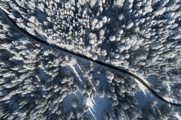 Aerial view of road leading through freshly snow-covered winter forest, Switzerland