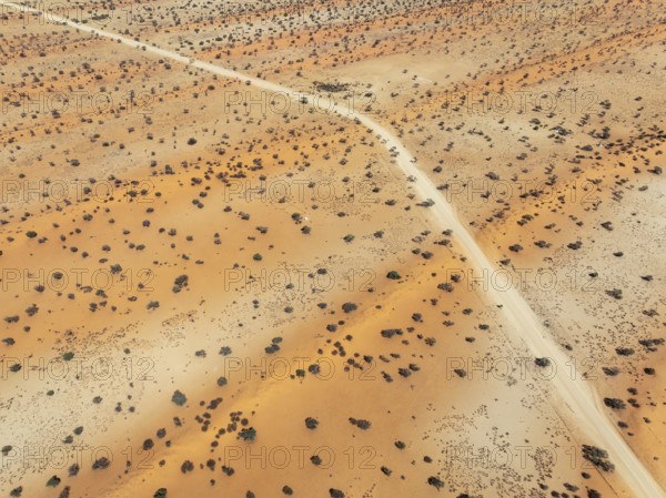 Gravel road in the Kalahari Desert with its linear sand dunes grown with camelthorn trees (Vachellia erioloba). Aerial view. Drone shot. Namibia