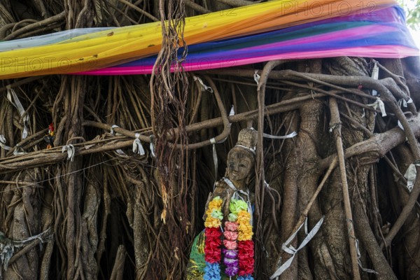 Bodhi tree, Ficus religiosa, wooden figure, Koh Phi Phi, Krabi, Andaman Sea, Thailand