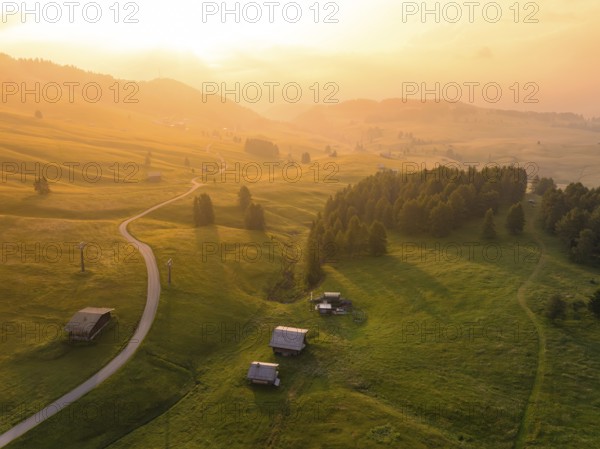 Green landscape with meadows, hills and scattered trees in the soft evening light, Alpe di Siusi, Dolomites, South Tyrol, Italy