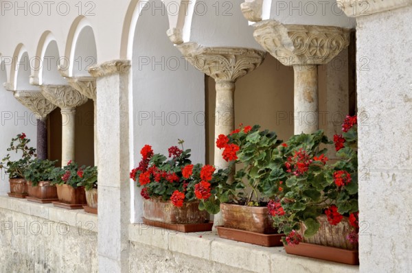Columns with capitals, ornamental crutch capitals from the 10th and 11th centuries, flower boxes with geraniums (Geranium L.), round arches in the cloister of St Anne, Benedictine Abbey of Montecassino, Monte Cassino, Cassino, Frosinone, Lazio, Italy