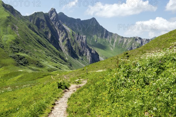 Hiking trail to the Hochalp Pass, Bärgunttal, behind Höferspitze, Weißer Schrofen and Heiterberg, near Baad, Kleinwalsertal, Allgäu Alps, Vorarlberg, Austria