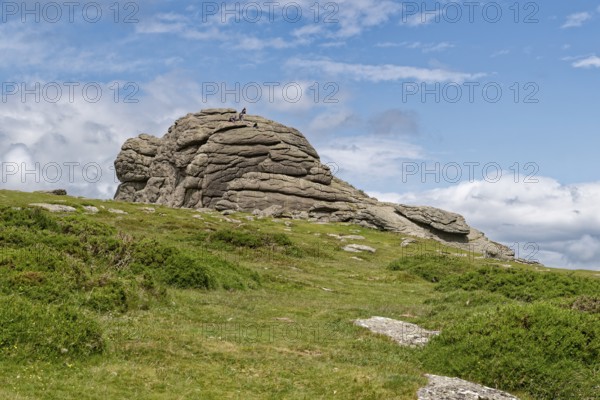 The Haytor Rocks in Dartmoor National Park. Bovey Tracey, Devon, South England, Great Britain