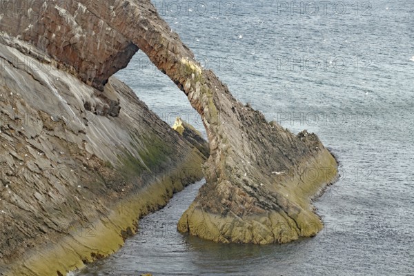 Remarkable rock formation jutting into the sea under a blue sky with few clouds, Bow Fiddle Rock, Aberdeenshire, Buckie, Scotland, United Kingdom