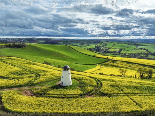 Rapeseed fields and Farms over Devon Windmill from a drone, Torquay, Devon, England, United Kingdom