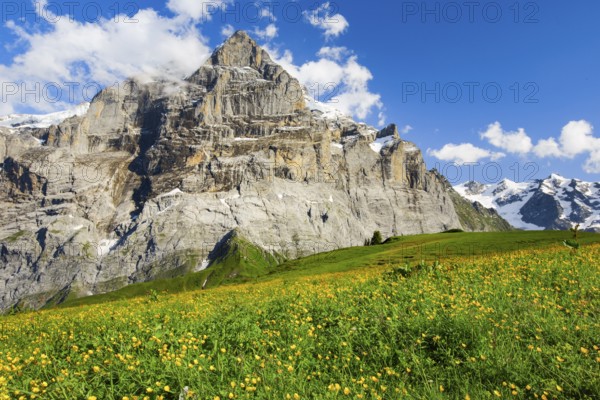 Wetterhorn, Bernese Oberland, Switzerland